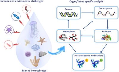 Editorial: Immunity in Marine Invertebrates: Integrating Transcriptomics to Proteomics and Metabolomics